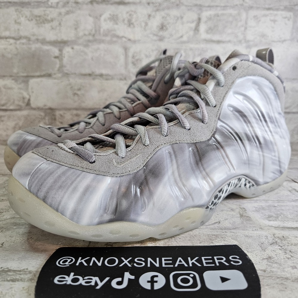 Nike Foamposite One QS Dream A World Tech Grey DM0115 001 Men's Size 9
